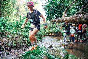 BIB: 
                            <button type="button" onclick="openModal(25514944)" class="btn btn-primary btn-sm float-right btn-popup" data-toggle="modal" data-target=".modal-high-quality">
                        <i class="fas fa-shopping-cart"></i> Add to Cart
                    </button>
                                            <button type="button" onclick="isThisMe(25514944, true)" class="btn btn-success btn-sm float-right btn-popup btn-isme hidden" data-toggle="tooltip" data-placement="bottom" title="นี่คือรูปของคุณใช่ไหม คลิกที่นี่เพื่อเอาเข้าอัลบั้ม">
                        <i class="fas fa-plus"></i> Add to album
                    </button>
                    <button type="button" onclick="isThisMe(25514944, false)" class="btn btn-warning btn-sm float-right btn-popup btn-isnotme hidden">
                        <i class="fas fa-ban"></i> Remove from album
                    </button>